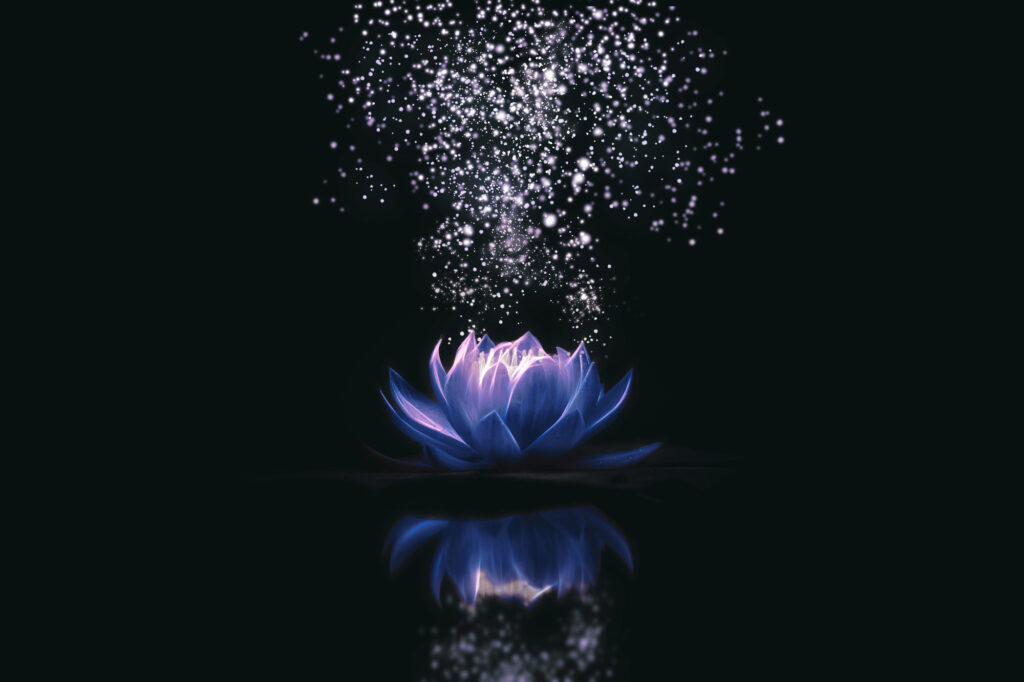 Spiritual symbolism of the national flower of Egypt, blue lotus representing rebirth and enlightenment.